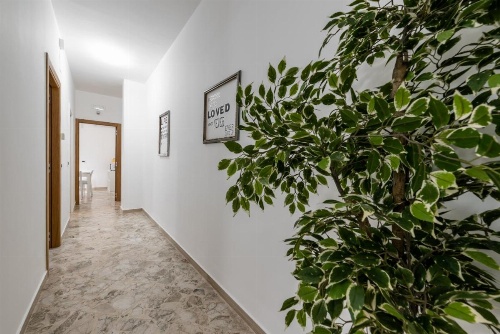 Apartment Celentano - Youtown image 11